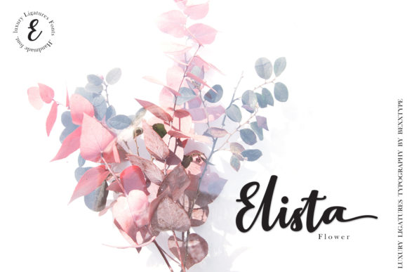 Elistabeta Script Font - Preview 4