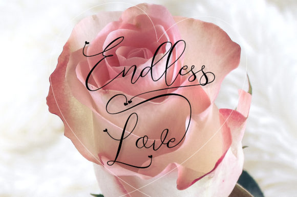 Endless Script Font - Preview 1