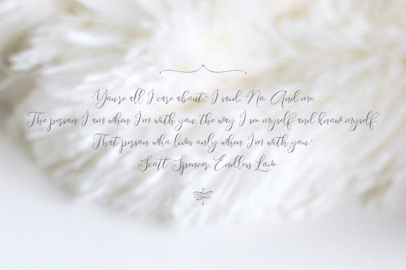Endless Script Font - Preview 2