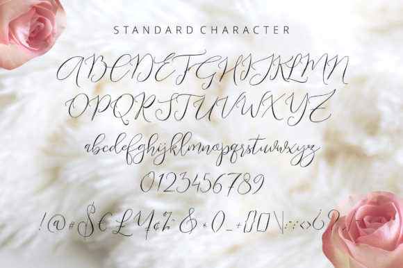 Endless Script Font - Preview 3