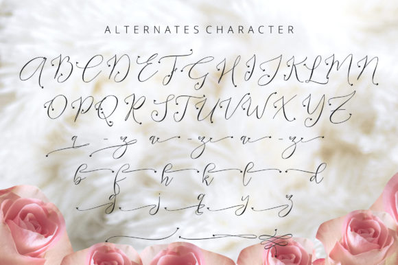 Endless Script Font - Preview 4
