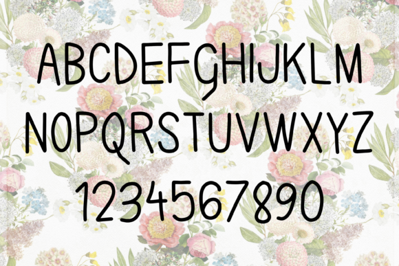 Karla Camila Font PNG with transparent background - Preview 1