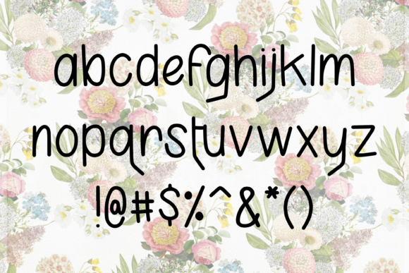 Karla Camila Font PNG with transparent background - Preview 2
