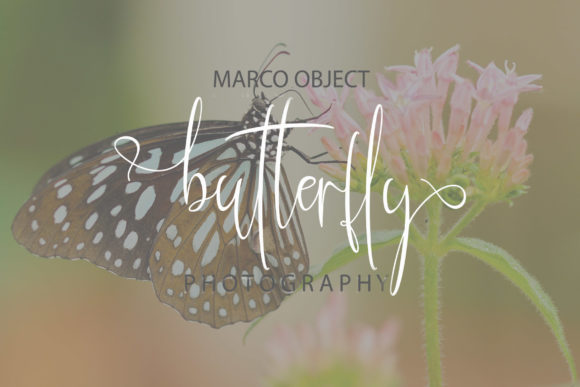 Kristallian Script Font PNG with transparent background - Preview 4