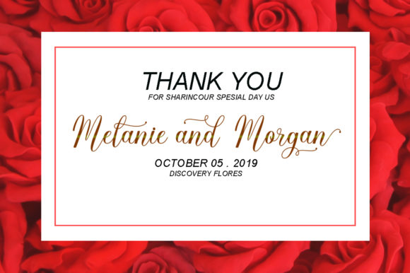 Melly Script Font PNG with transparent background - Preview 6
