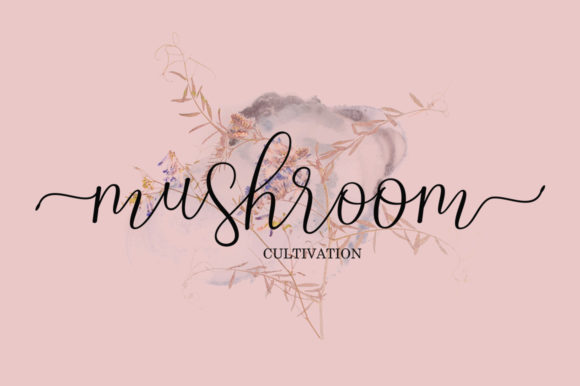 Nathasyia Script Font PNG with transparent background - Preview 3
