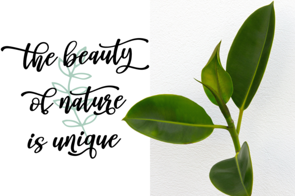 Ostende Font PNG with transparent background - Preview 5