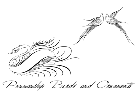 Penmanship Birds and Ornaments Font PNG with transparent background - Preview 2