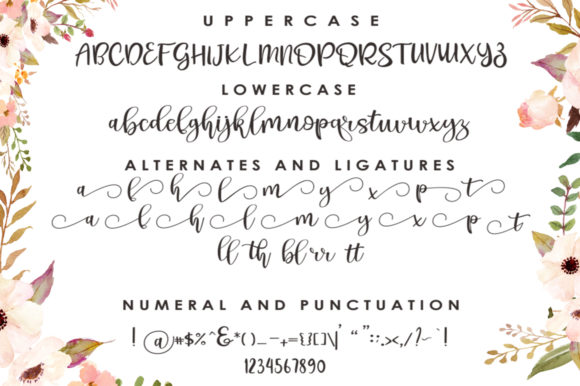 Pichellya Script Font PNG with transparent background - Preview 6