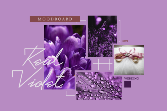 Real Violet Font PNG with transparent background - Preview 1