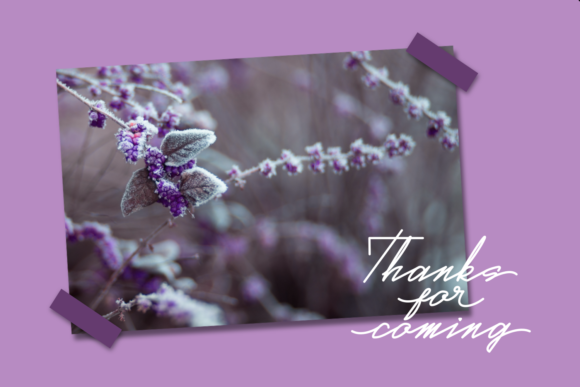 Real Violet Font PNG with transparent background - Preview 6