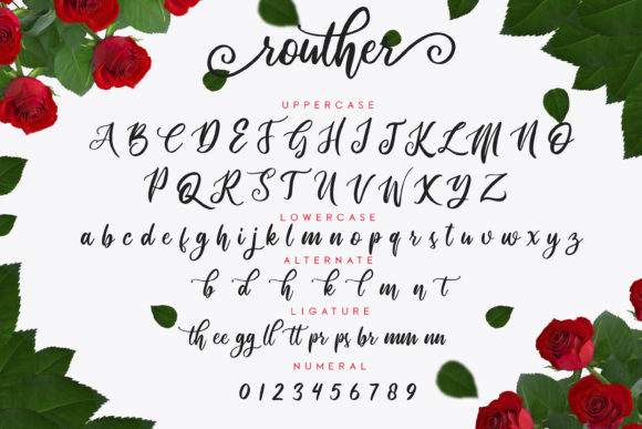 Routher Script Font PNG with transparent background - Preview 1