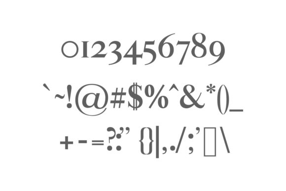 Aable Family Font - Preview 2
