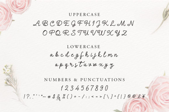 Alledahe Font - Preview 2