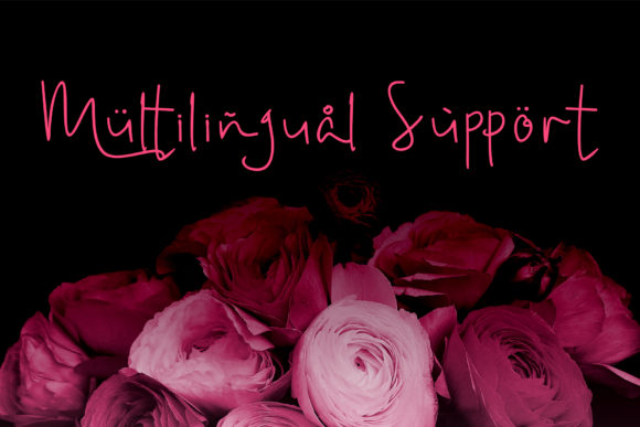 Amanda Script Font - Preview 4