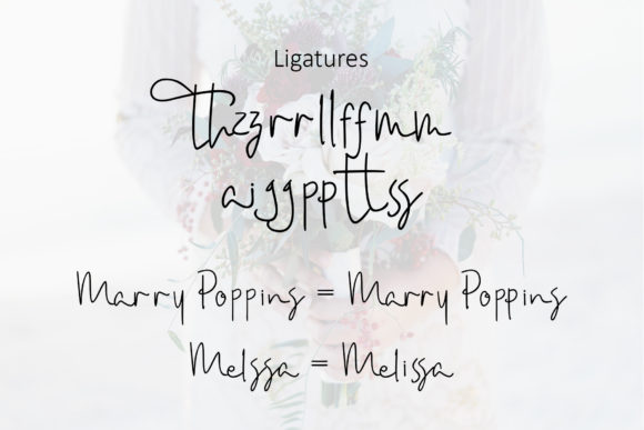 Amanda Script Font - Preview 6