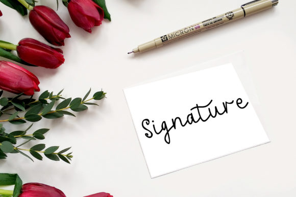 Anitta Script Font - Preview 6