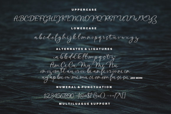 Atlantic Script Font - Preview 3