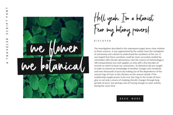 Bellevue Script Font - Preview 4