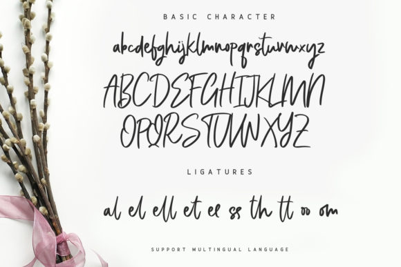 Bellevue Script Font - Preview 5