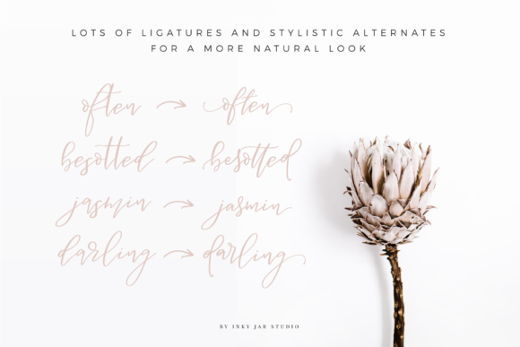 Besotted Script Font - Preview 6