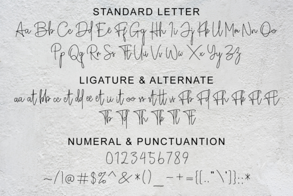 Broetown Signature Font - Preview 2
