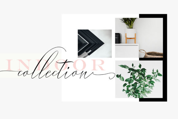 Bungalow Script Font - Preview 5