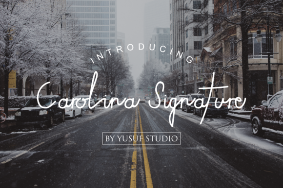 Carolina Signature Font - Preview 2
