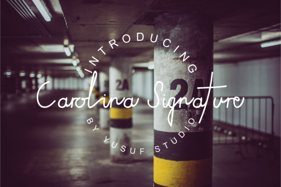 Carolina Signature Font - Preview 6