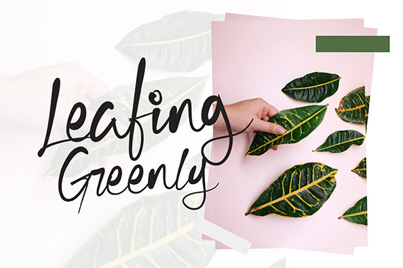 Cecilia Script Font - Preview 2