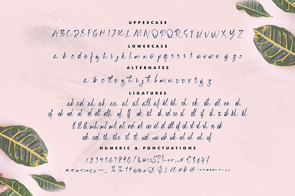 Cecilia Script Font - Preview 6