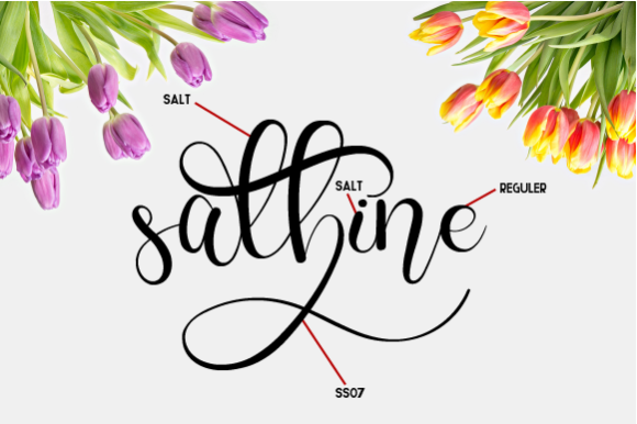 Charllie Script Font - Preview 1