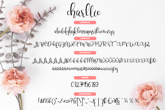 Charllie Script Font - Preview 2