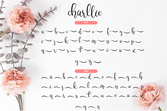 Charllie Script Font - Preview 3
