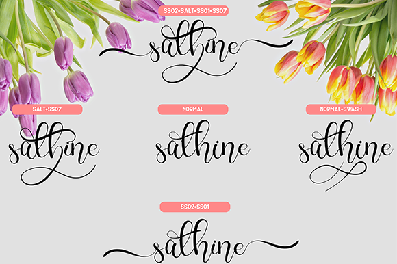 Charllie Script Font - Preview 5