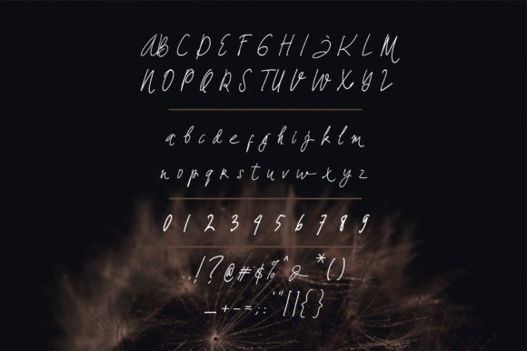 Dandelion Font - Preview 1