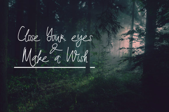 Dandelion Font - Preview 2