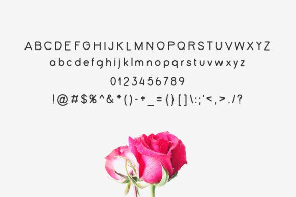 Deixis Font PNG with transparent background - Preview 4