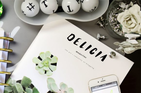Delicia Font - Preview 2