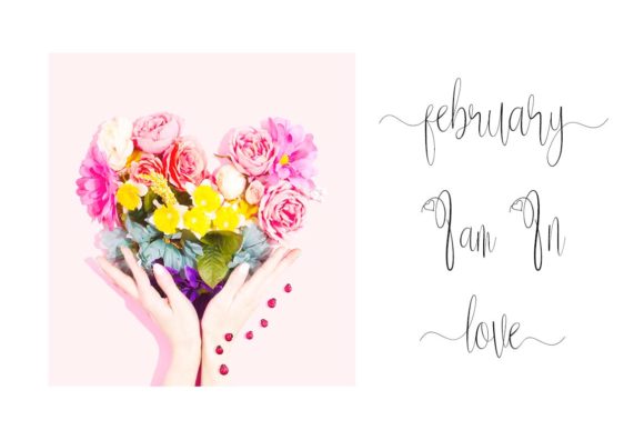 Delissa Script Font - Preview 1