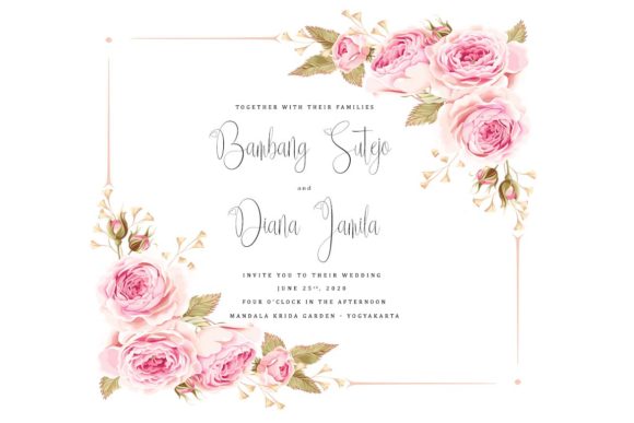 Delissa Script Font - Preview 2