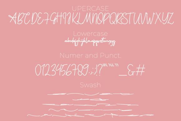 Felicia Signature Font PNG with transparent background - Preview 6
