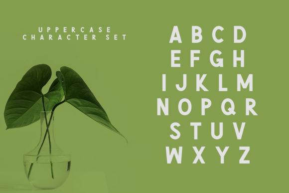 Green Font - Preview 3