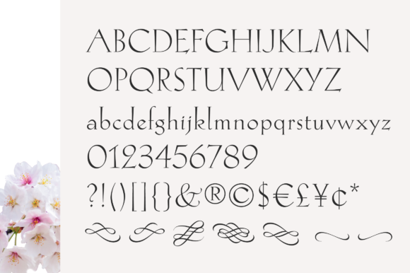 Hellen Font - Preview 2