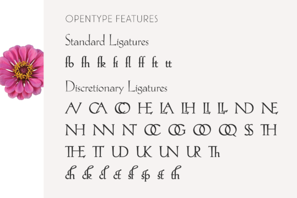 Hellen Font - Preview 3