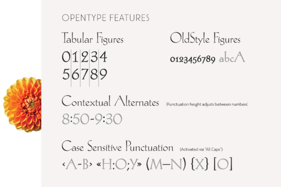 Hellen Font - Preview 4