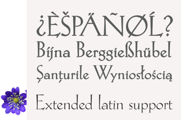 Hellen Font - Preview 5