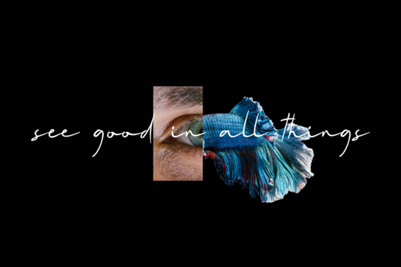 Mallory Quon Font PNG with transparent background - Preview 1