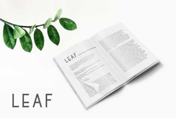 Maode Family Font PNG with transparent background - Preview 4