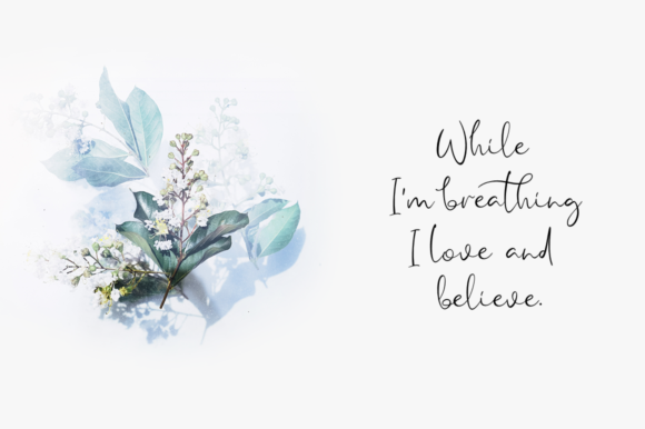 Milardo Font PNG with transparent background - Preview 1